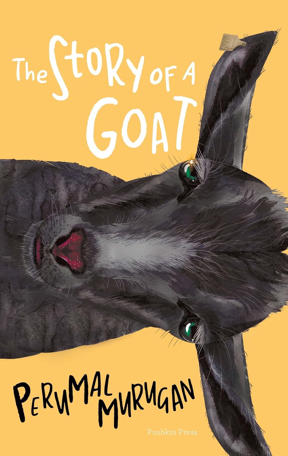 Front cover of The Story of a Goat