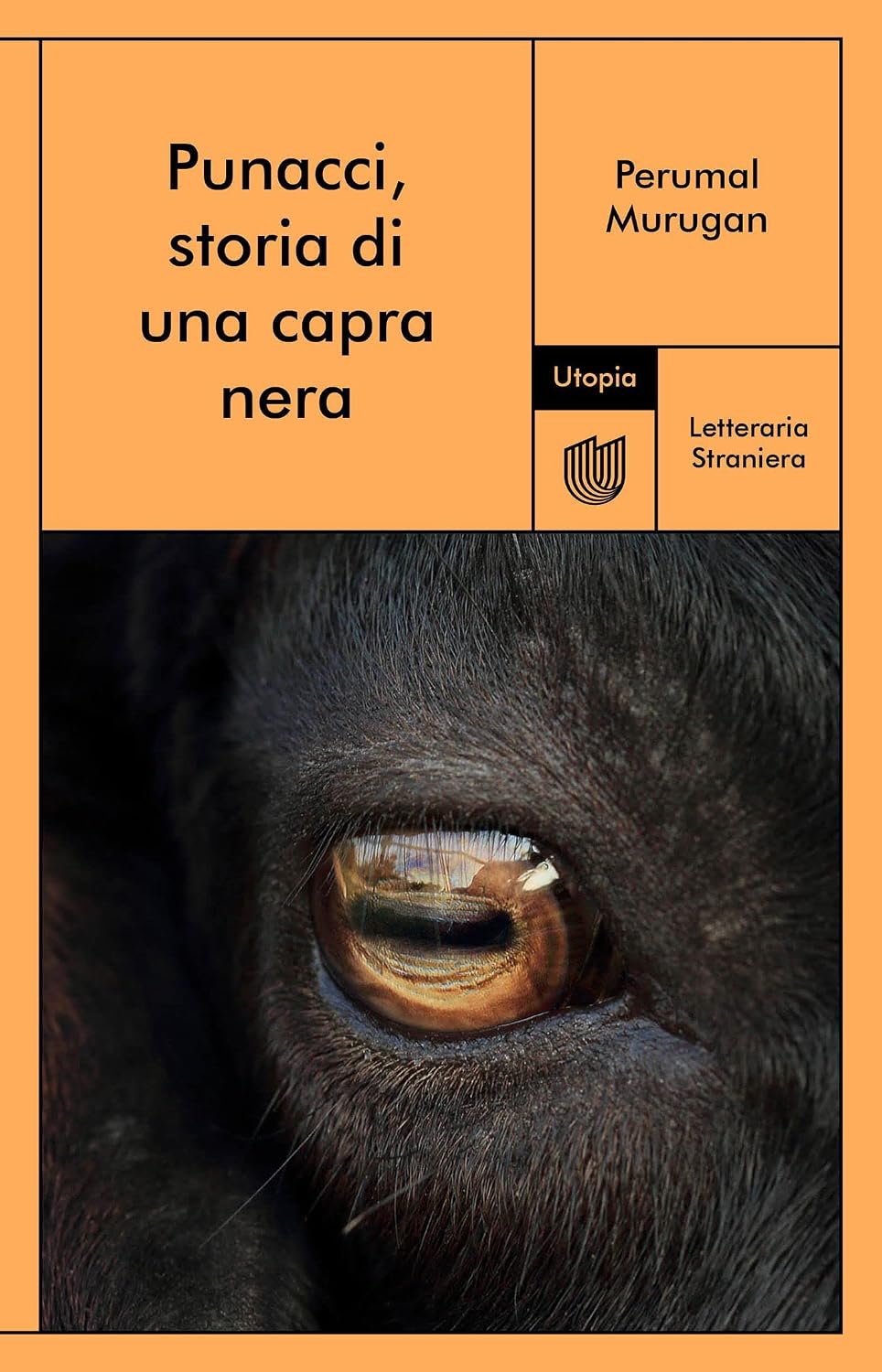 Cover of Punacci, storia di una capra nera